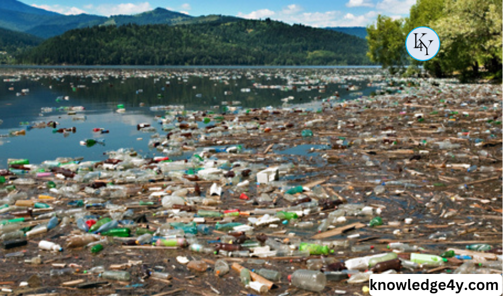 garbage in water