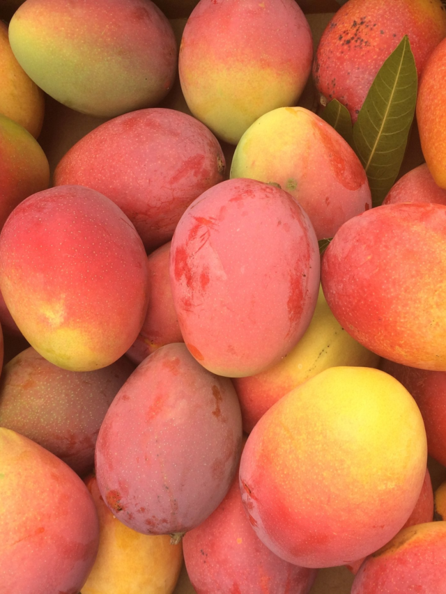 Mangos