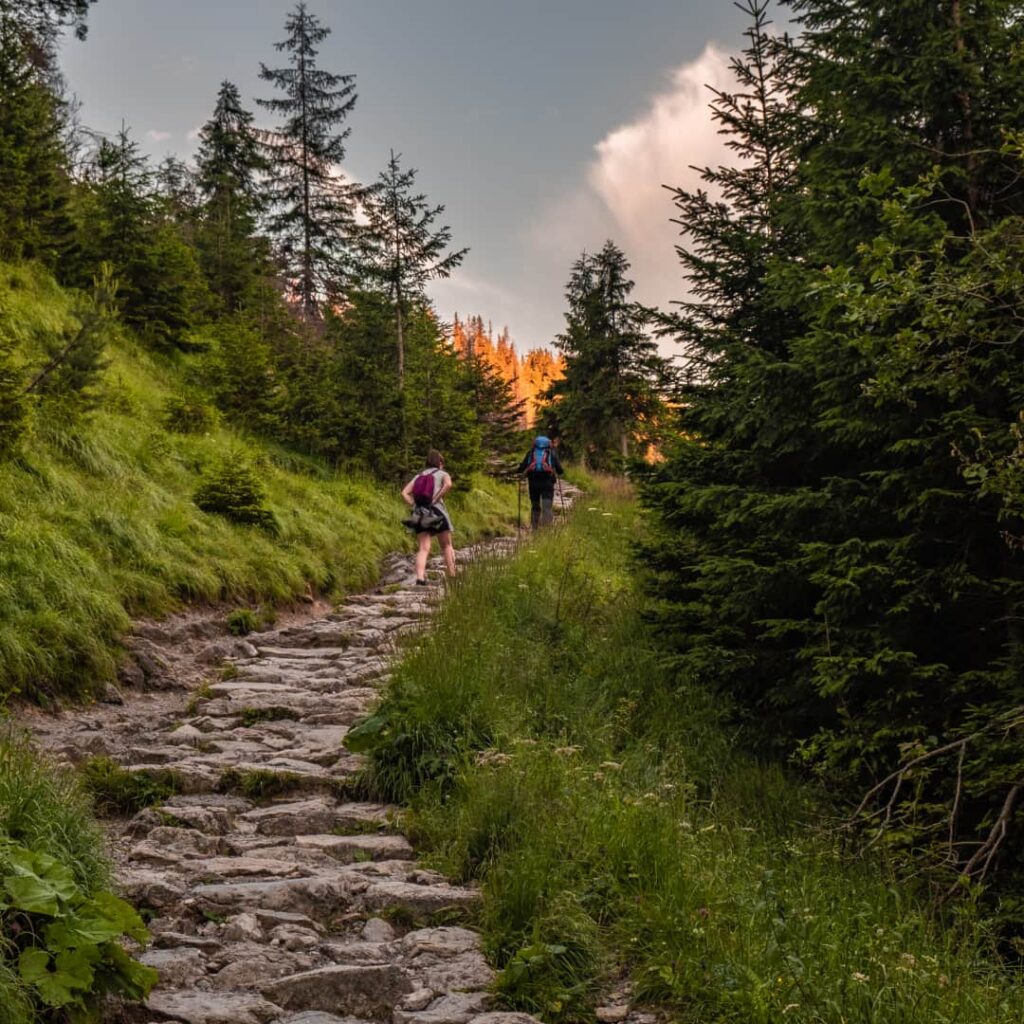 people walking on a stone path